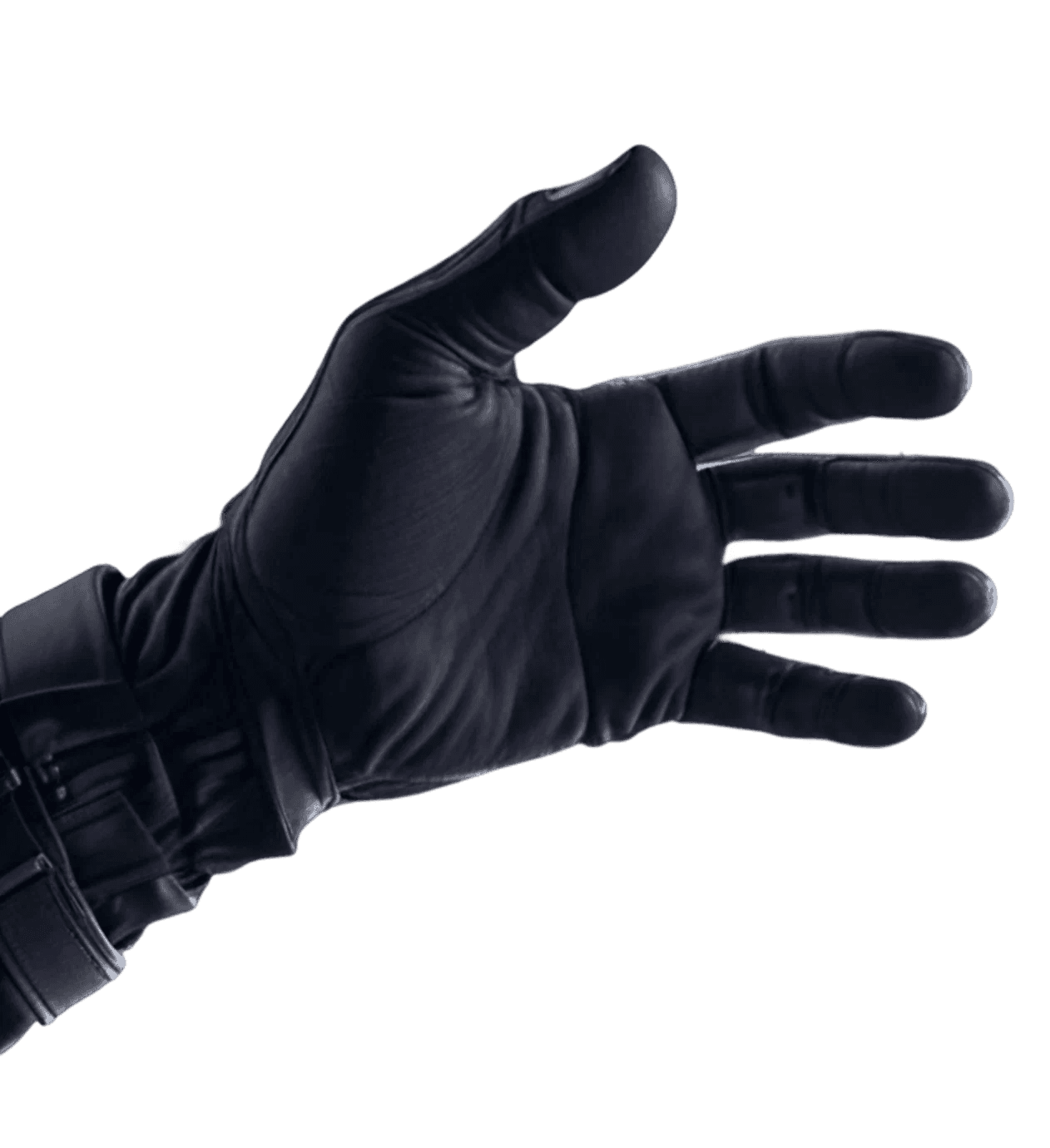 left hand image